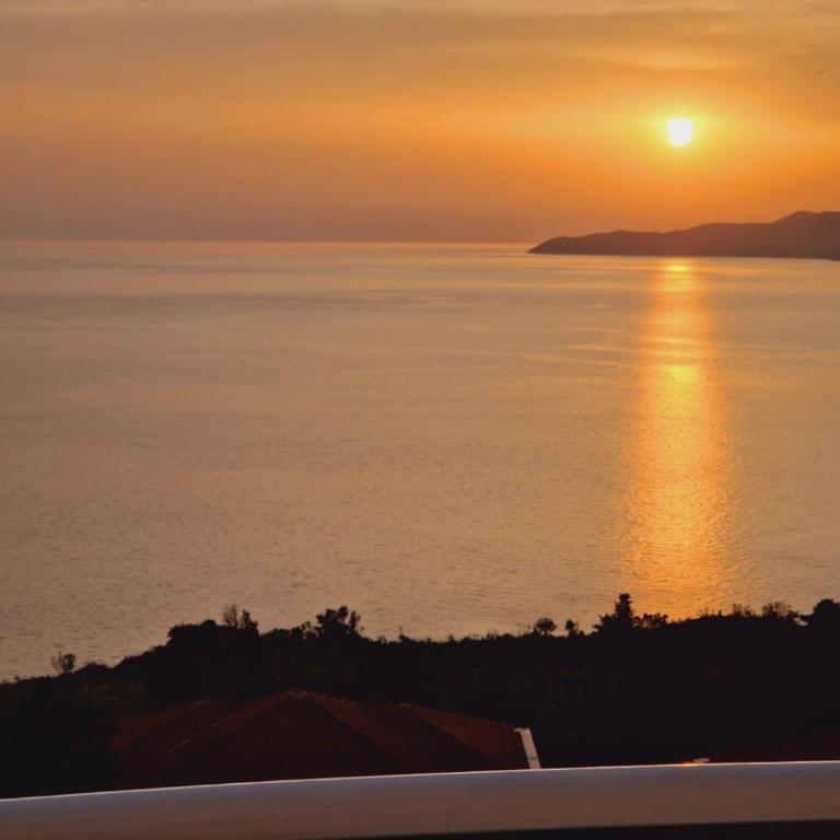 Vila Natalia - Studio Apartment with Terrace and Sea View - 3