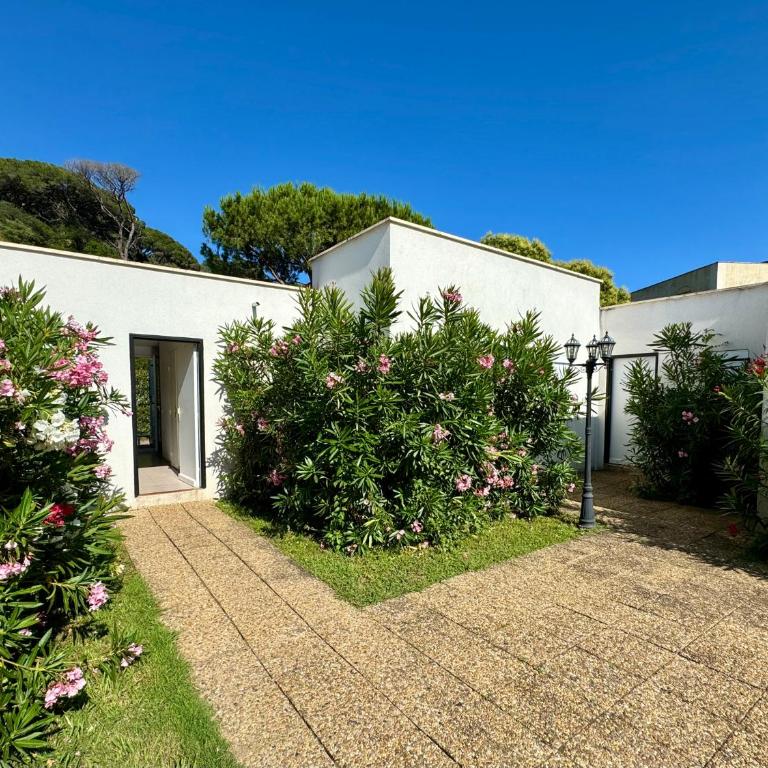 Beach Cannes Bungalows - Holiday Apartments near Cannes - Appartement - Rez-de-Chaussée - 35