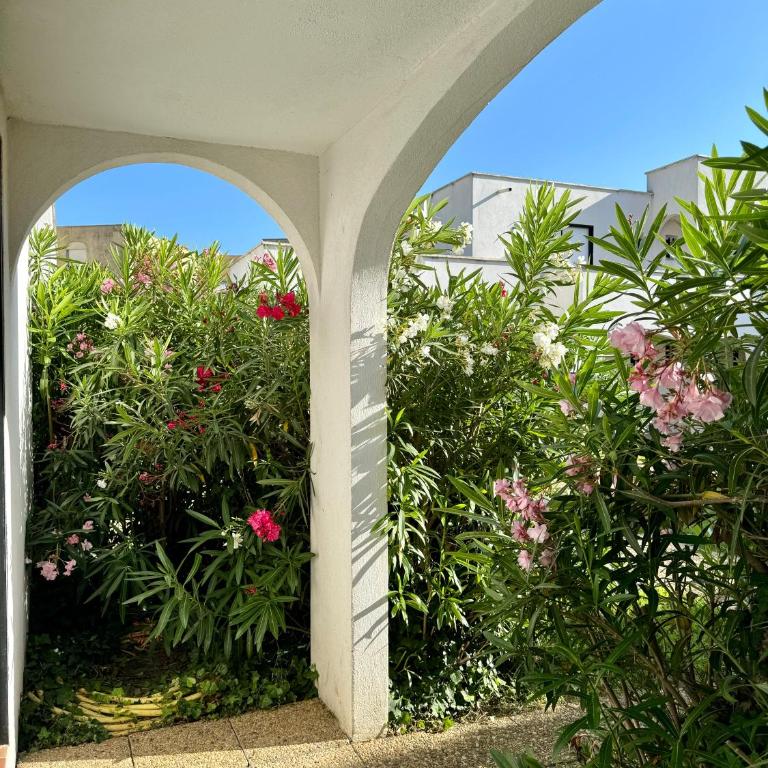 Beach Cannes Bungalows - Holiday Apartments near Cannes - Appartement - Rez-de-Chaussée - 39