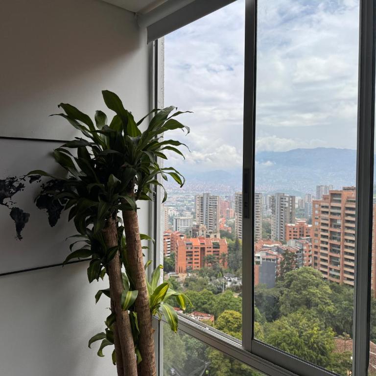 Espectacular apt moderno en el poblado by Hoost - Apartment - 7