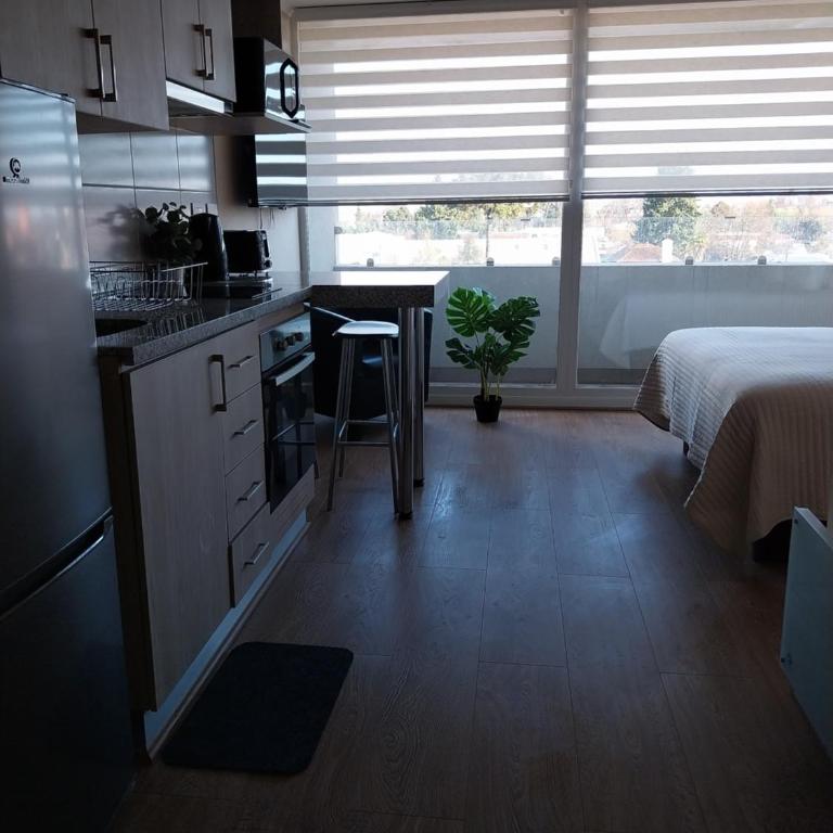 Depto studio chillan - Apartamento de 1 dormitorio - 6