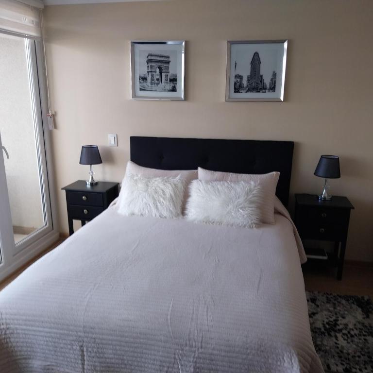 Depto studio chillan - Apartamento de 1 dormitorio - 9