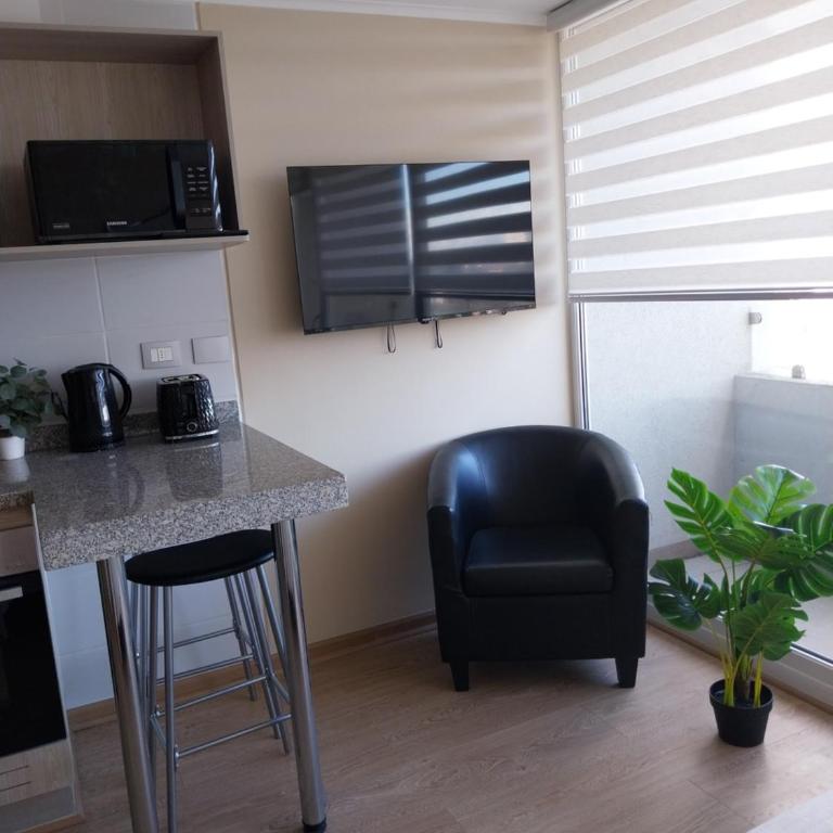 Depto studio chillan - Apartamento de 1 dormitorio - 10