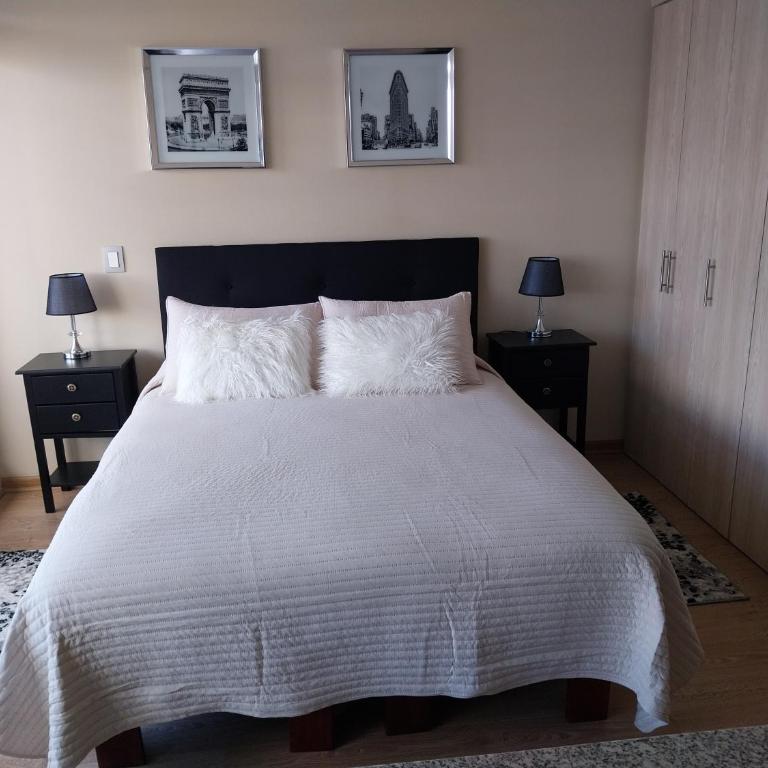 Depto studio chillan - Apartamento de 1 dormitorio - 13