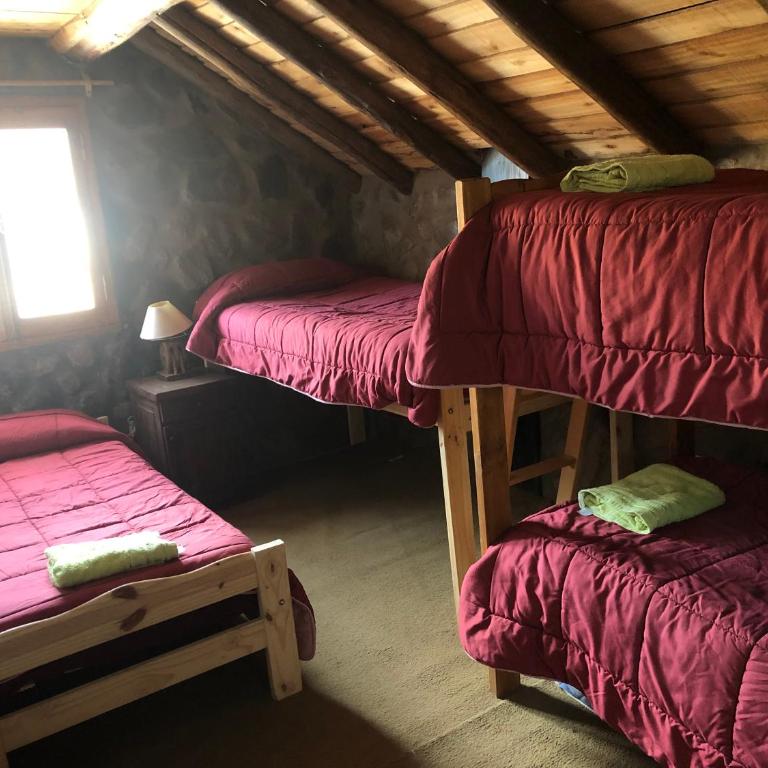 Refugio Inka - Cama en habitación compartida mixta de 4 camas - 5