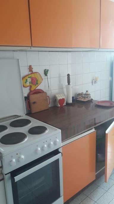 Central Belgrade Homelike Apartment - Apartman sa 1 Spavaćom Sobom - 41