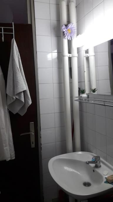 Central Belgrade Homelike Apartment - Apartman sa 1 Spavaćom Sobom - 43