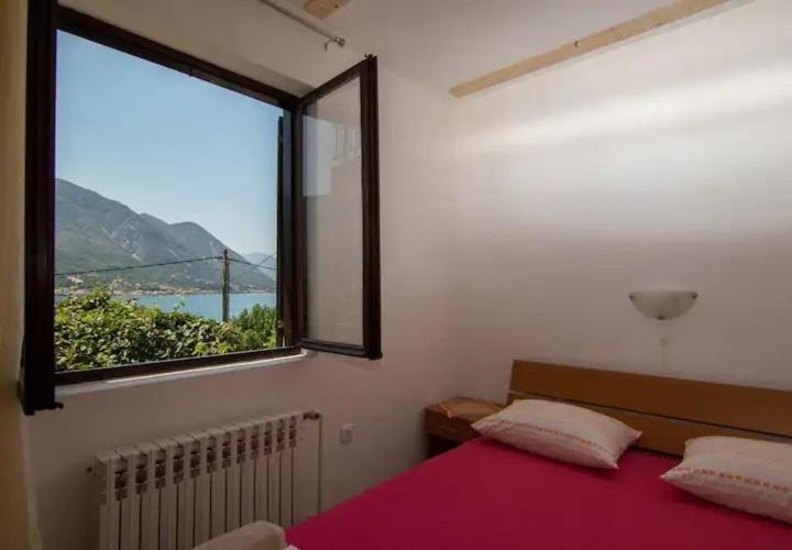 Lazarevic Apartments - Studio - 9