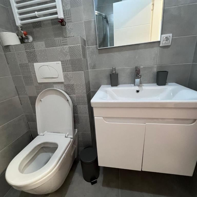Romanijska - Apartman sa 1 Spavaćom Sobom - 13