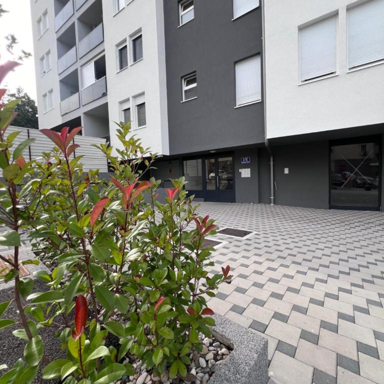 Romanijska - Apartman sa 1 Spavaćom Sobom - 7