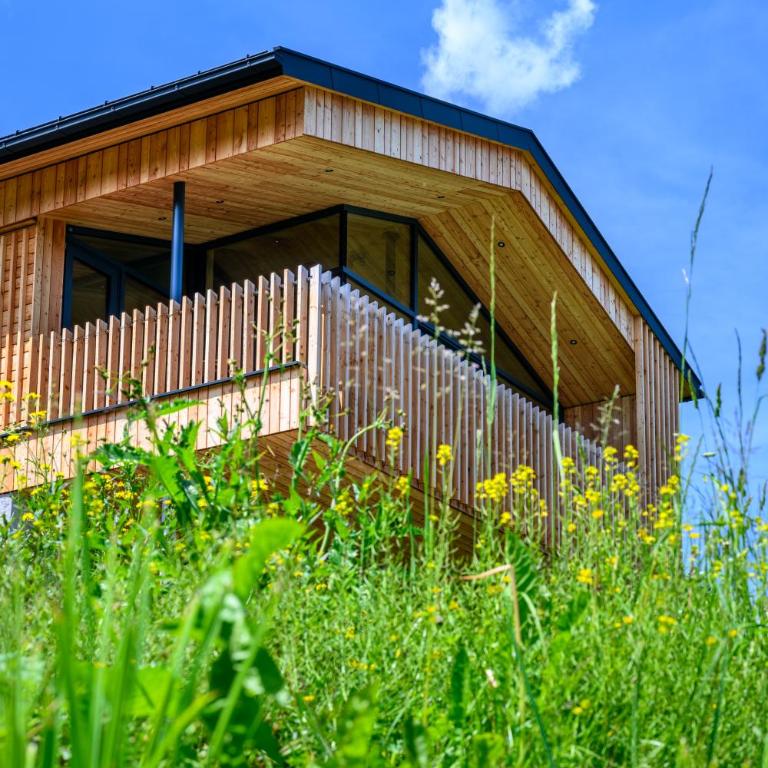 Das Hillside Maria Alm Hintermoos - Superior Villa - 1