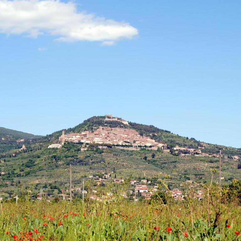 2 Bedroom Amazing Apartment In Cortona - Appartamento con 2 Camere da Letto - 17