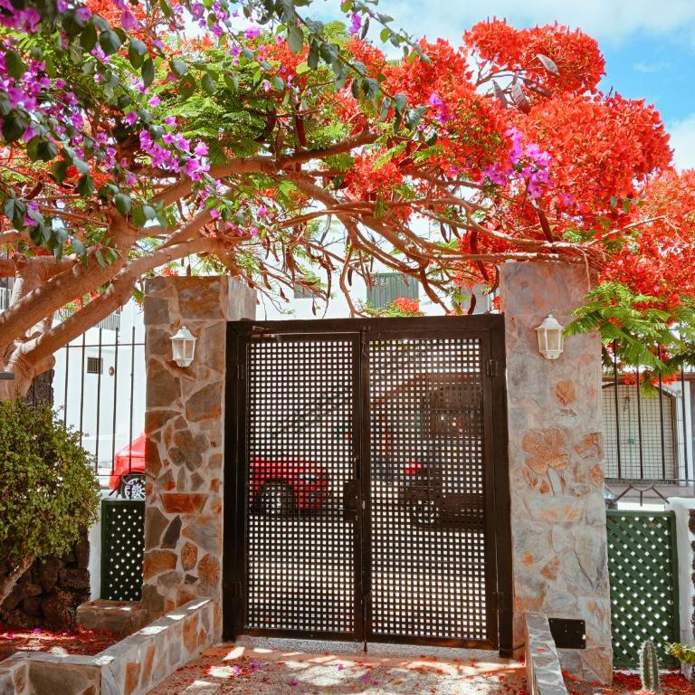 Apartamentos las Acacias - One-Bedroom Apartment - 29
