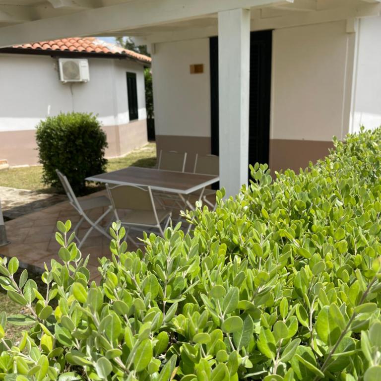 Soleada Club - Bungalow con Vista Giardino - 1