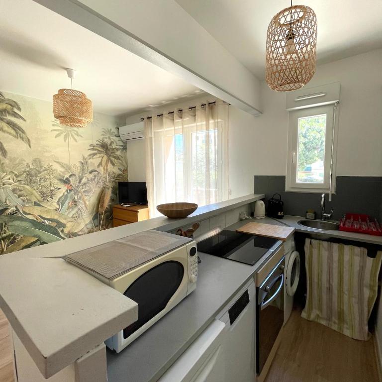 Studio climatisé avec balcon à 10 mn des plages - Apartment mit 1 Schlafzimmer - 6