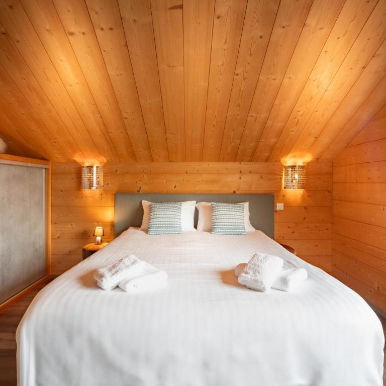 Chalet La Souris, chaleureux avec vue panoramique - Chalet - 28