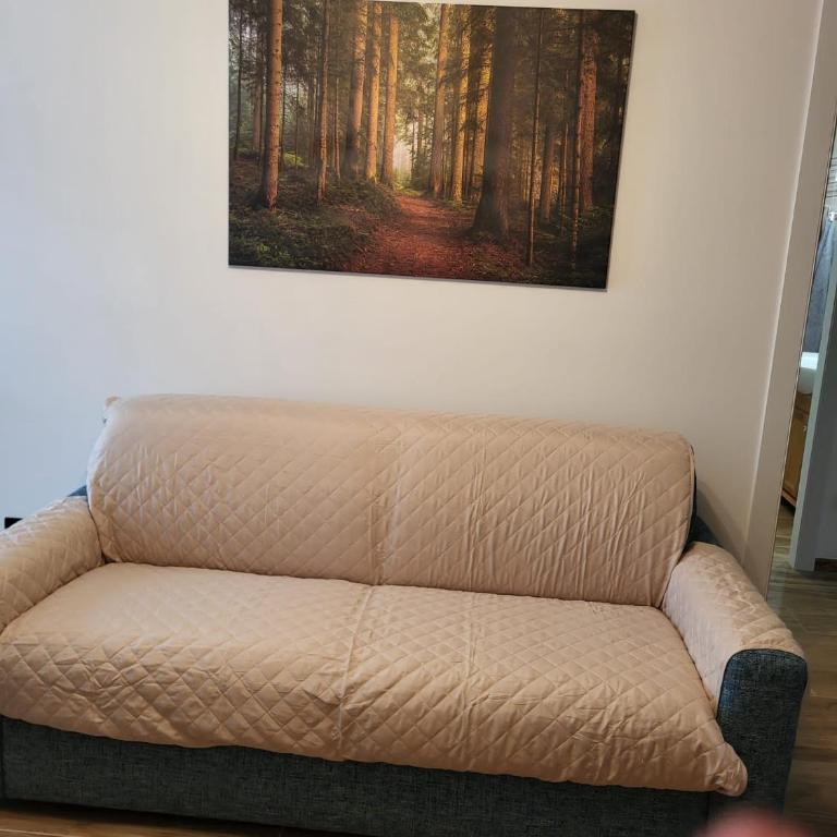 Andalo, Residence al Girasole FamPedron - Appartamento con 2 Camere da Letto - 12