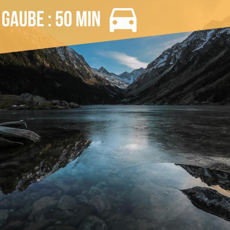 Appartement du Chamois Roux, dans résidence de tourisme 3 étoiles - Studio - 14