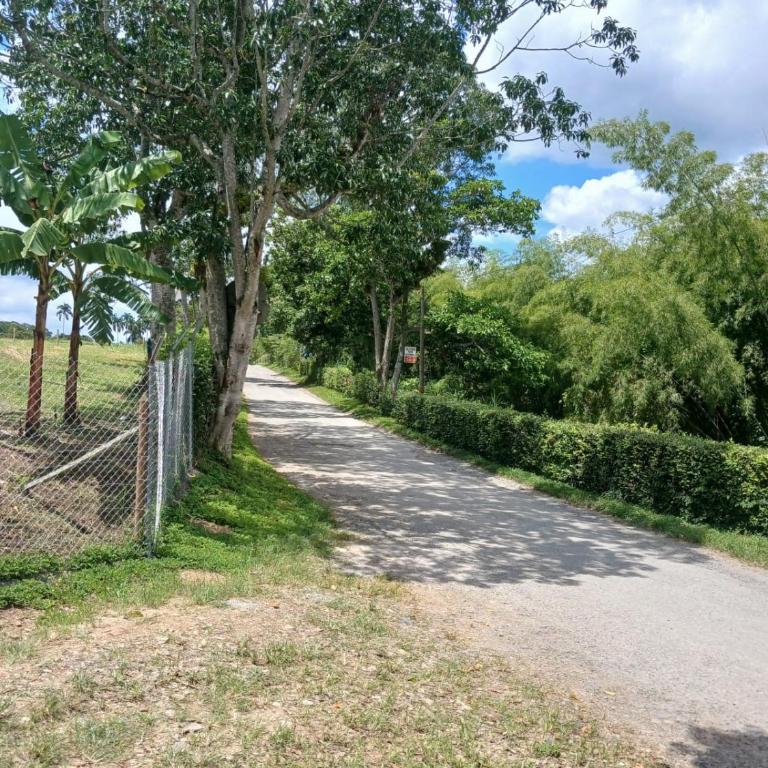 Finca JOMA - Two-Bedroom House - 12