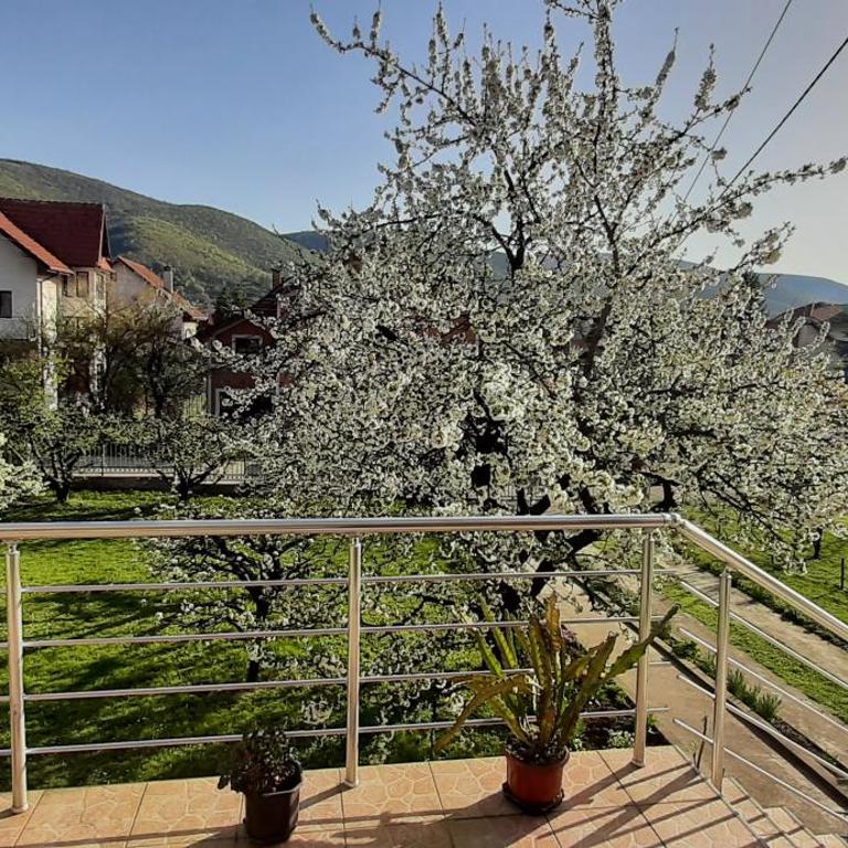 Apartmani Petrović - Apartman sa 2 Spavaće Sobe - 5