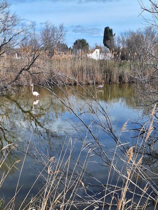 De l'eau et des oiseaux ! - One-Bedroom House - 24