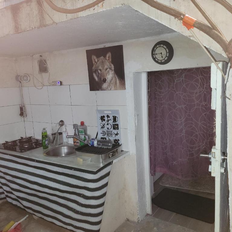 Joli rez de jardin - Appartement 1 Chambre - 20