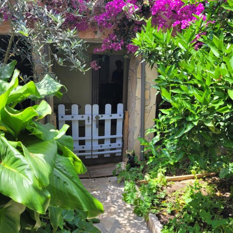 Joli rez de jardin - Appartement 1 Chambre - 26