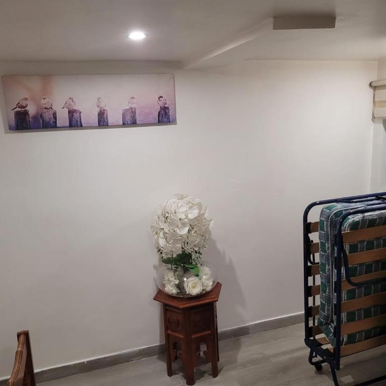 Joli rez de jardin - Appartement 1 Chambre - 31