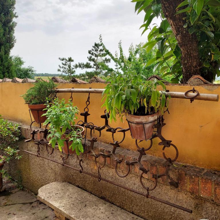 Agriturismo Il Colle - Appartamento con 1 Camera da Letto - 28