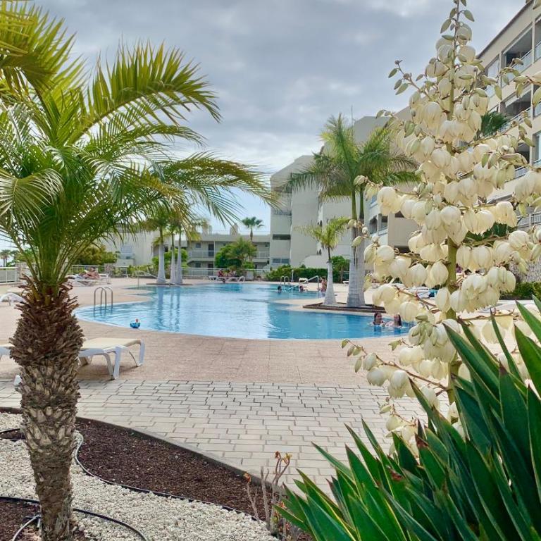 Apartamento Las Palmeritas Palm Mar Tenerife Sur - One-Bedroom Apartment - 7