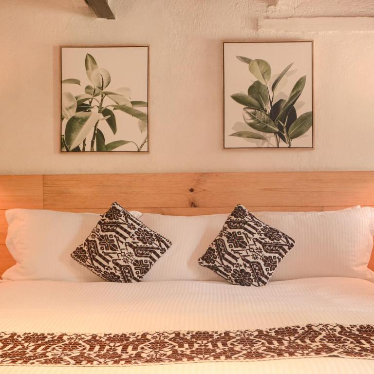 Petit Mesón (Pet Friendly Hotel) - Habitación Doble - se aceptan mascotas - cama extragrande - 9