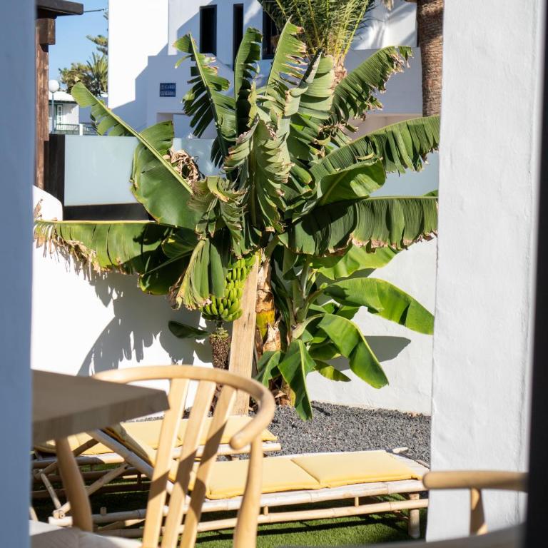 Casa MARLENA - Three-Bedroom Villa - 11