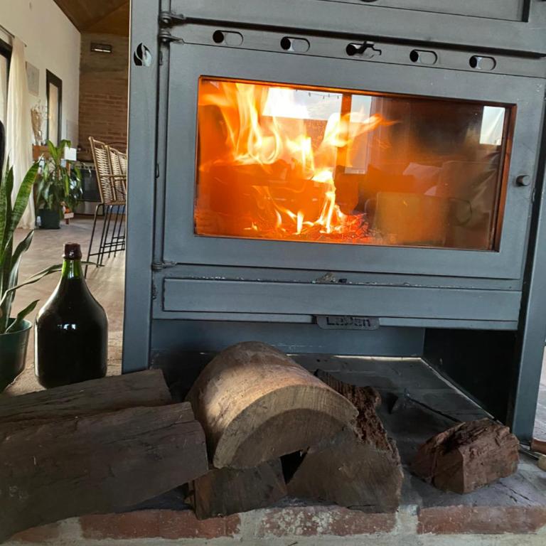 La Pinocha de Ruiz - One-Bedroom House - 6