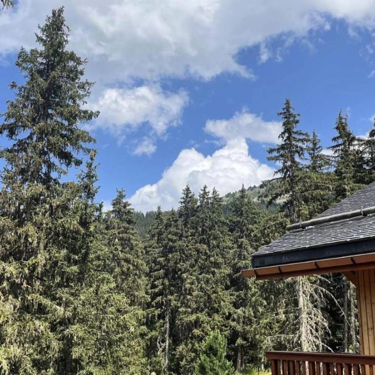 Résidence Les Eperonnelles - Appartement 3 pièces pour 6 personnes situé à Méribel Altiport, proche des pistes de ski et du golf MAE-2644 - Appartement - 4