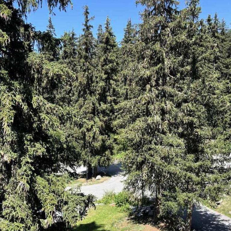 Résidence Les Eperonnelles - Appartement 3 pièces pour 6 personnes situé à Méribel Altiport, proche des pistes de ski et du golf MAE-2644 - Appartement - 13