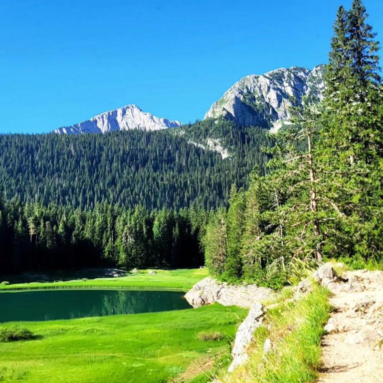 Holiday Home Stefani Spacious Mountain House near Durmitor 3 Bedrooms Private Parking - Vikendica - 7