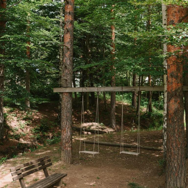 Apartman Novak - Divčigora - Apartman sa 1 Spavaćom Sobom - 21