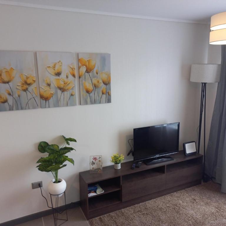 Tu lugar en Villarrica - Casa de 3 dormitorios - 2