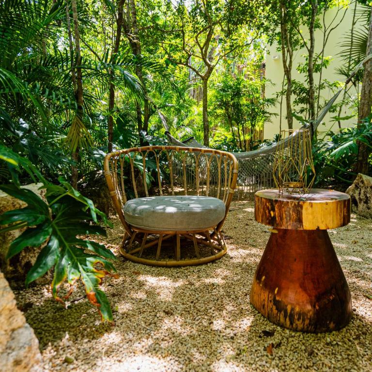 Penthouse with private jungle, pool, downtown - Apartamento de 2 dormitorios - 23