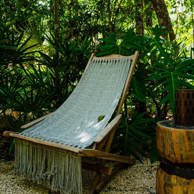 Penthouse with private jungle, pool, downtown - Apartamento de 2 dormitorios - 32