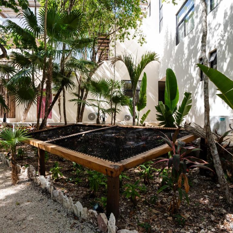 Penthouse with private jungle, pool, downtown - Apartamento de 2 dormitorios - 37