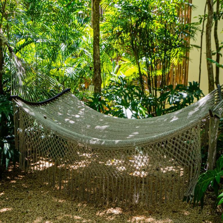 Penthouse with private jungle, pool, downtown - Apartamento de 2 dormitorios - 45