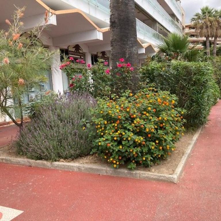 T2 climatisé au Lavandou, proche plage - FR-1-308-199 - Appartamento - 15