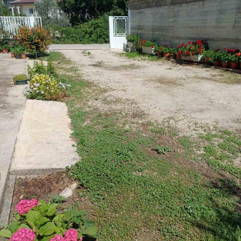 Apartments Ivana - Apartment with Garden View - 31