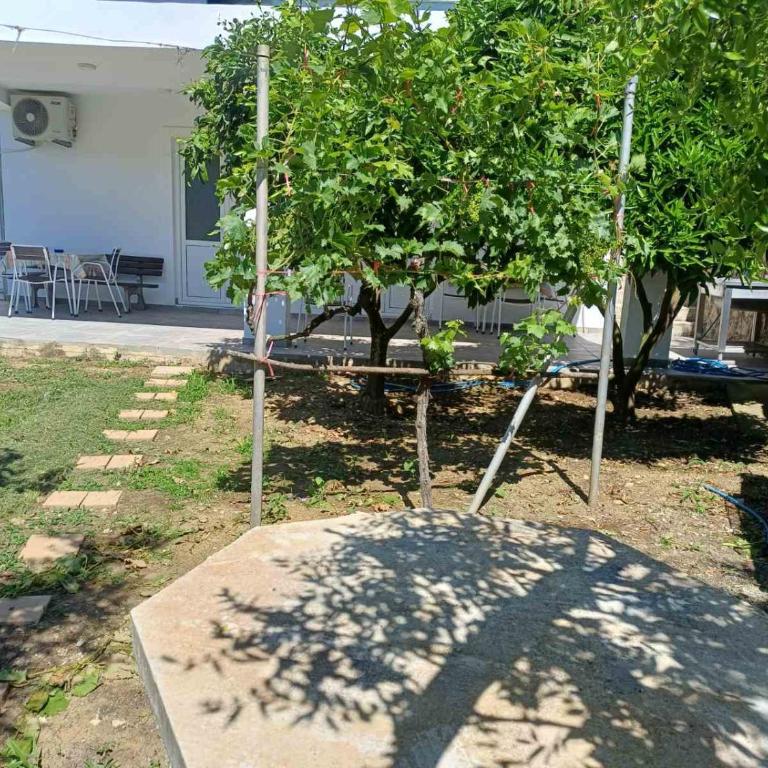 Apartments Ivana - Apartment with Garden View - 35