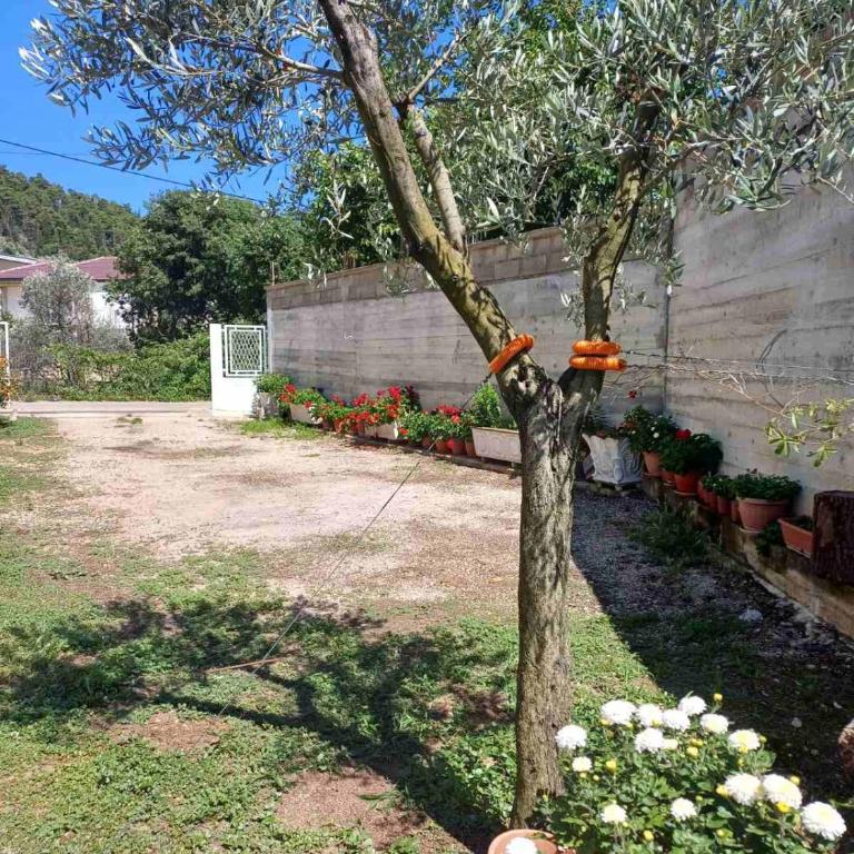 Apartments Ivana - Apartment with Garden View - 27