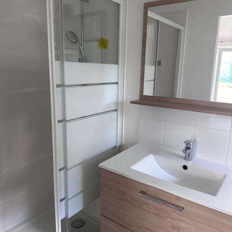 appartement au calme avec jardin privatif dans maison - Apartamento de 1 dormitorio con vistas al jardín - 10