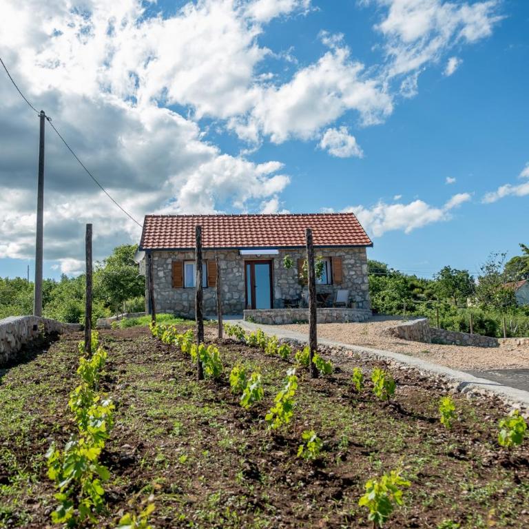 Stara Kruska - One-Bedroom House - 35