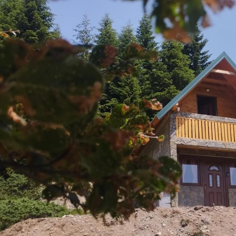 Mountain apartment-Komovi - Kuća sa 1 Spavaćom Sobom - 4