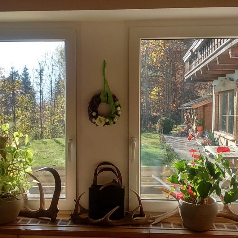 Das Panoramablick - Doppelzimmer mit Balkon - 19